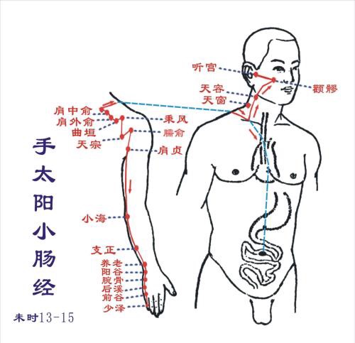 人体全部经络及如何利用经络养生,教你快速记住人体12条经络图
