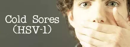 夺命的爱完整版,夺命的爱小说后续