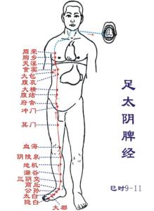 人体全部经络及如何利用经络养生,教你快速记住人体12条经络图