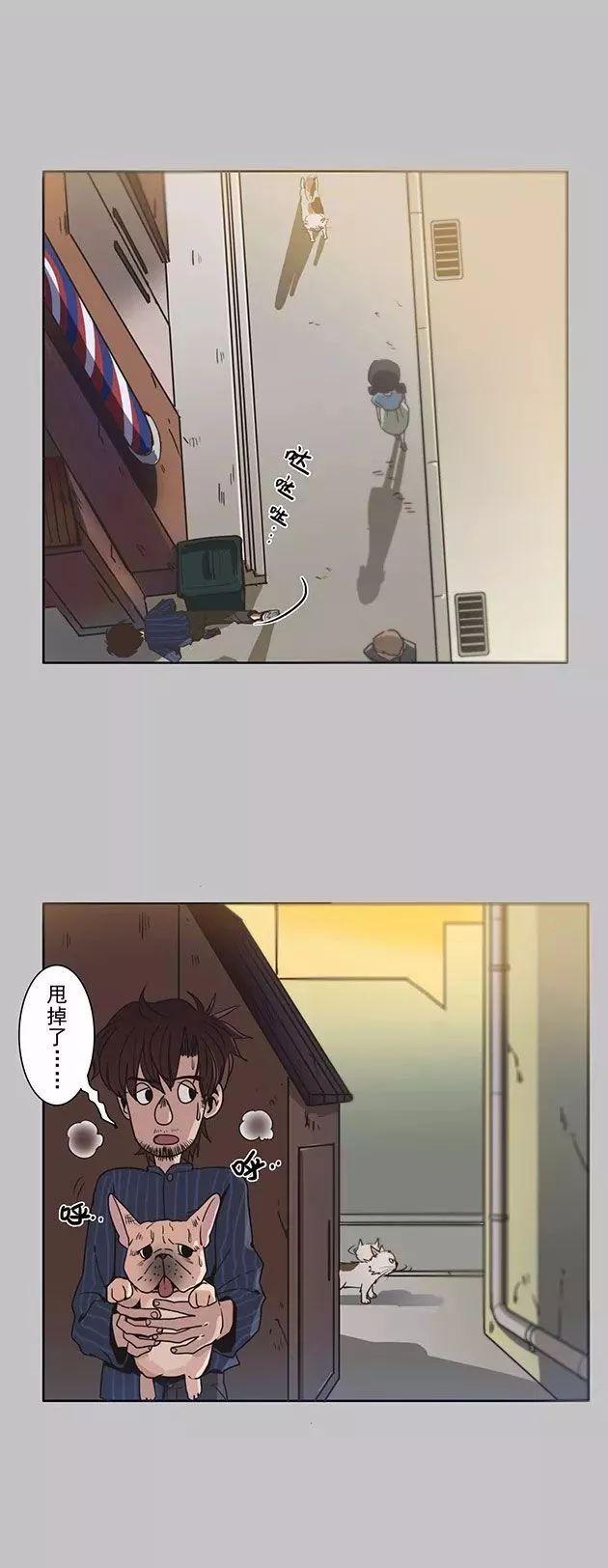 猫和铲屎官的日常生活漫画,铲屎官的搞笑漫画