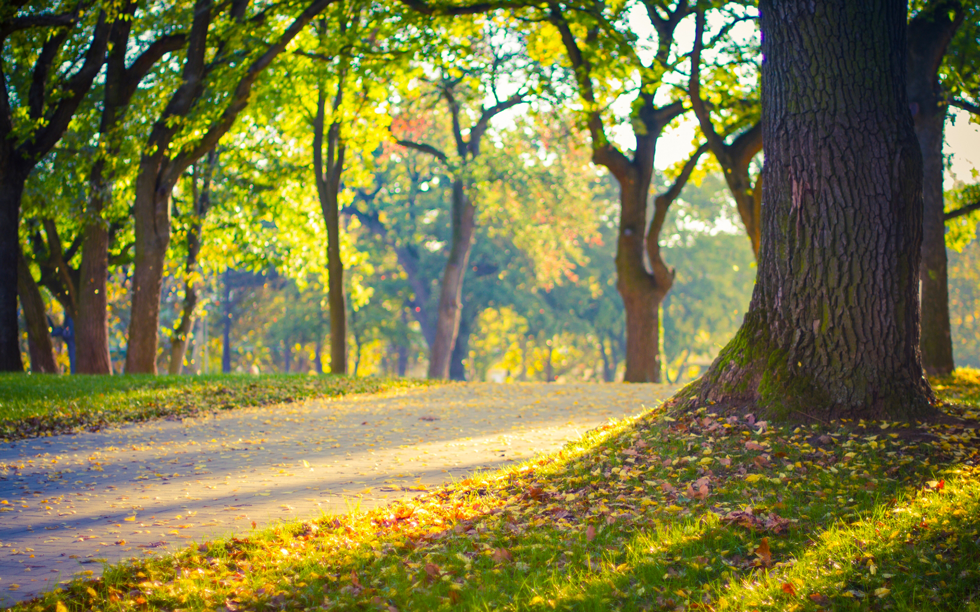 父母吵架离婚做儿女的应该怎么办,爸妈总是吵架作为儿女怎么劝