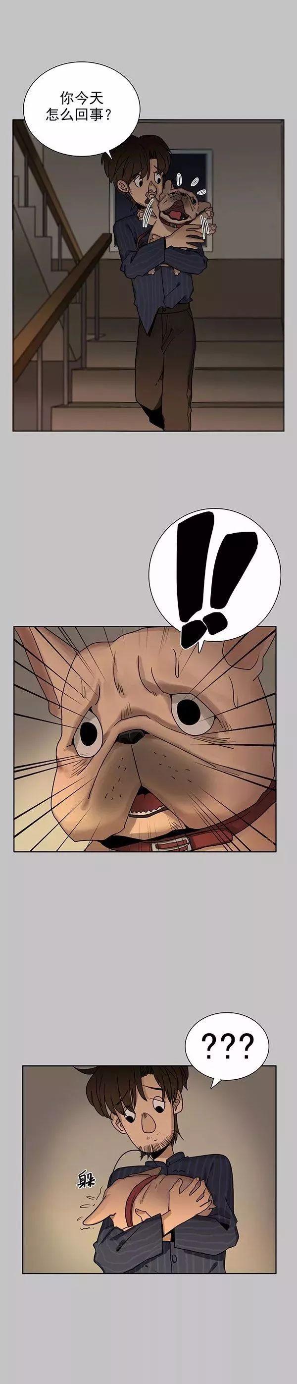 猫和铲屎官的日常生活漫画,铲屎官的搞笑漫画