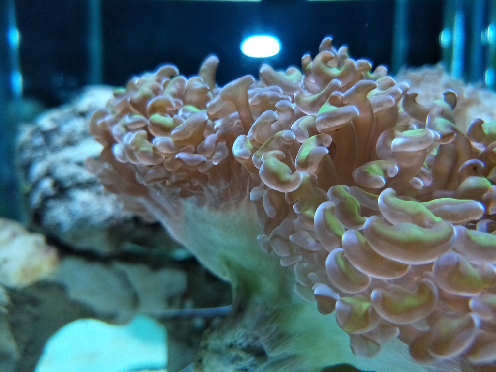 北京南到太平洋海底世界,走进太平洋海底世界视频