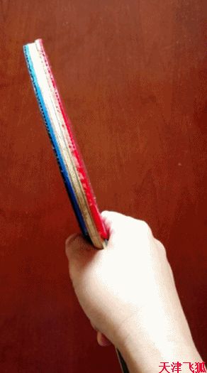 乒乓球训练教材,乒乓球系统训练计划明细表