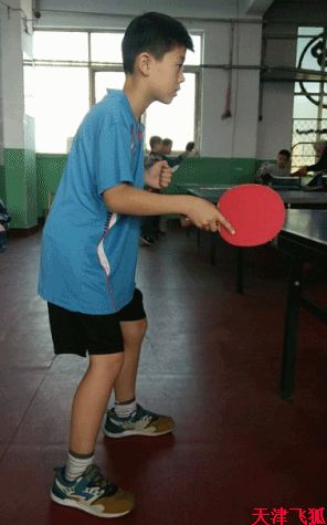 乒乓球系统训练计划明细表,乒乓球基础教练教学书籍