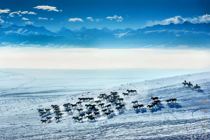 伊犁这个偏远的西部城市,新疆伊犁市靠近哪个位置