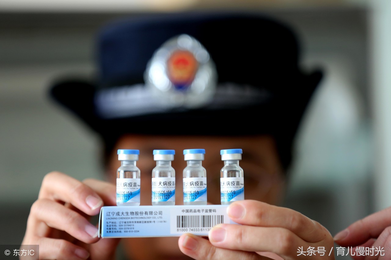 怀孕家人不支持养猫怎么办,怀孕养狗与家人产生分歧