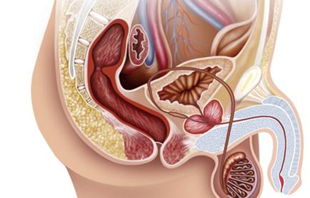 尿频尿急尿痛最常见于肾盂肾炎,肾盂肾炎尿频尿急的方法