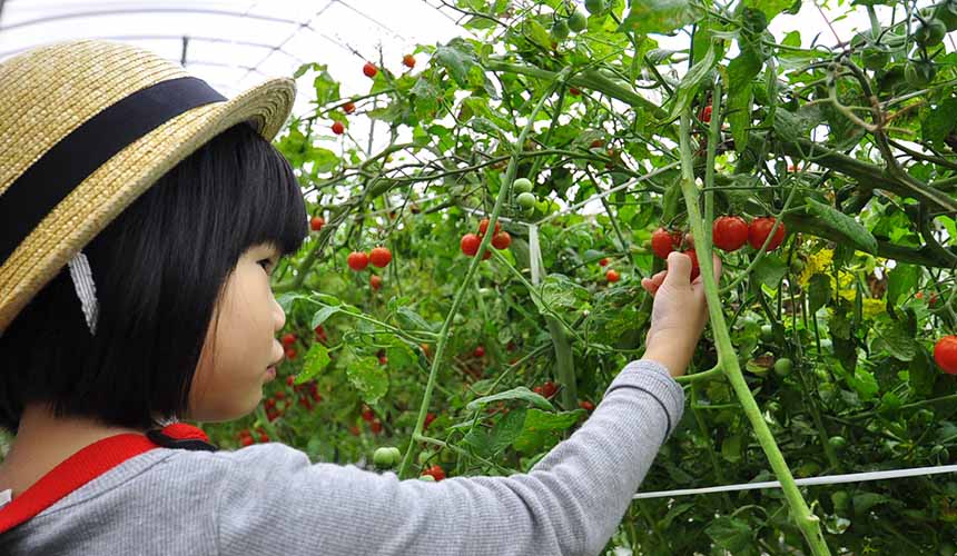 旅游熊本,熊本旅游攻略孩子