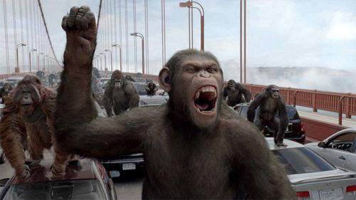 电影：追梦的艺术家，中国观众和奥斯卡，就好像最熟悉的陌生人