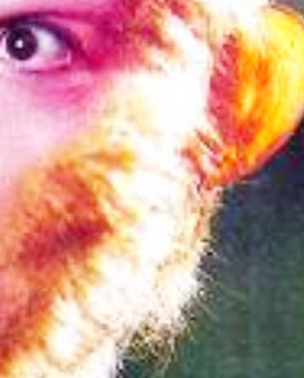 易烊千玺白敬亭王嘉尔,白敬亭易烊千玺抖音视频