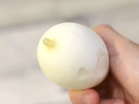 国外什么牌子的冰淇淋最好吃？