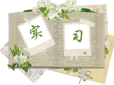 护士实习手册的实习内容摘要,护士实习鉴定个人总结简短