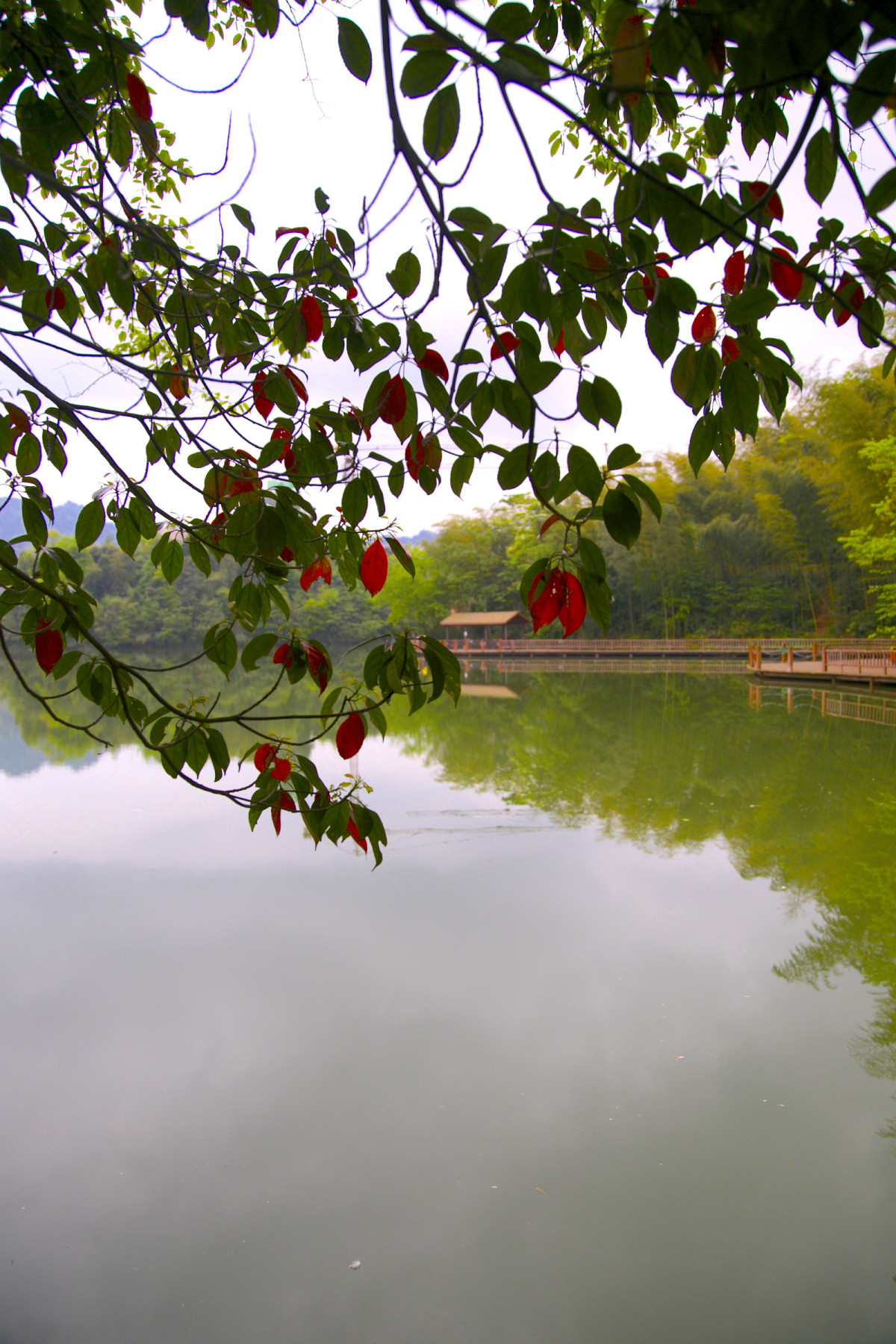 爱旅游爱生活幸福快乐每一天,爱旅游爱生活爱阅读