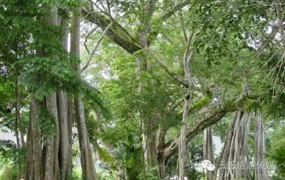 云南纳木错国家公园,云南昆明发现一个超大好玩的公园