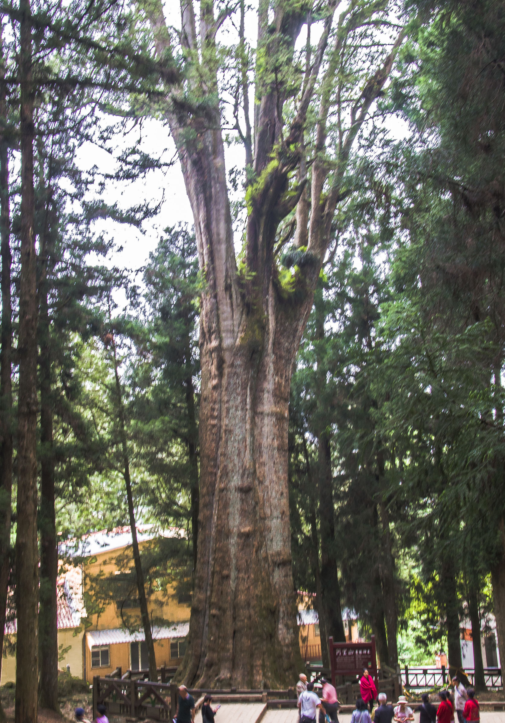 台湾印象图片,台湾印象之日月潭