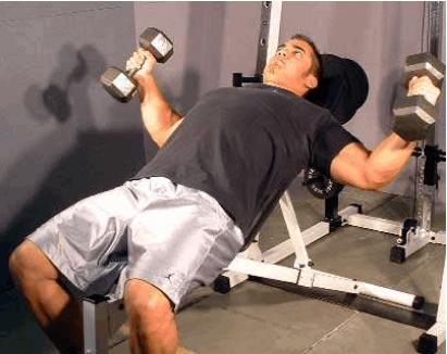 徒手健身哑铃视频,哑铃动作图解教你健身