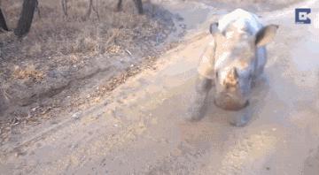 进来用手机截图,截到哪个明星,未来你的老婆就长那样