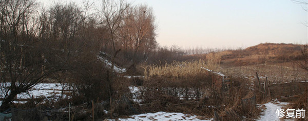 城市双修的缺点,什么是城市双修