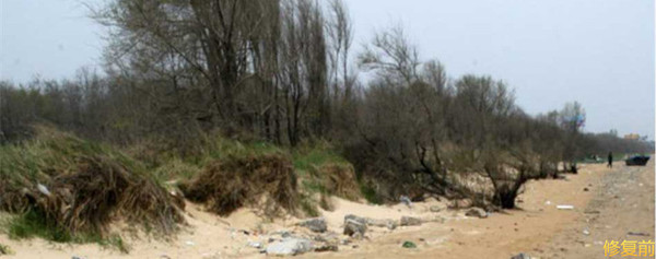 城市双修是什么,城市双修纪实