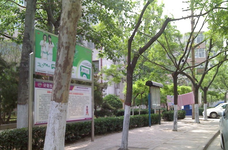 我的郑州城中村生涯（二）：在陈寨与水院之间切换