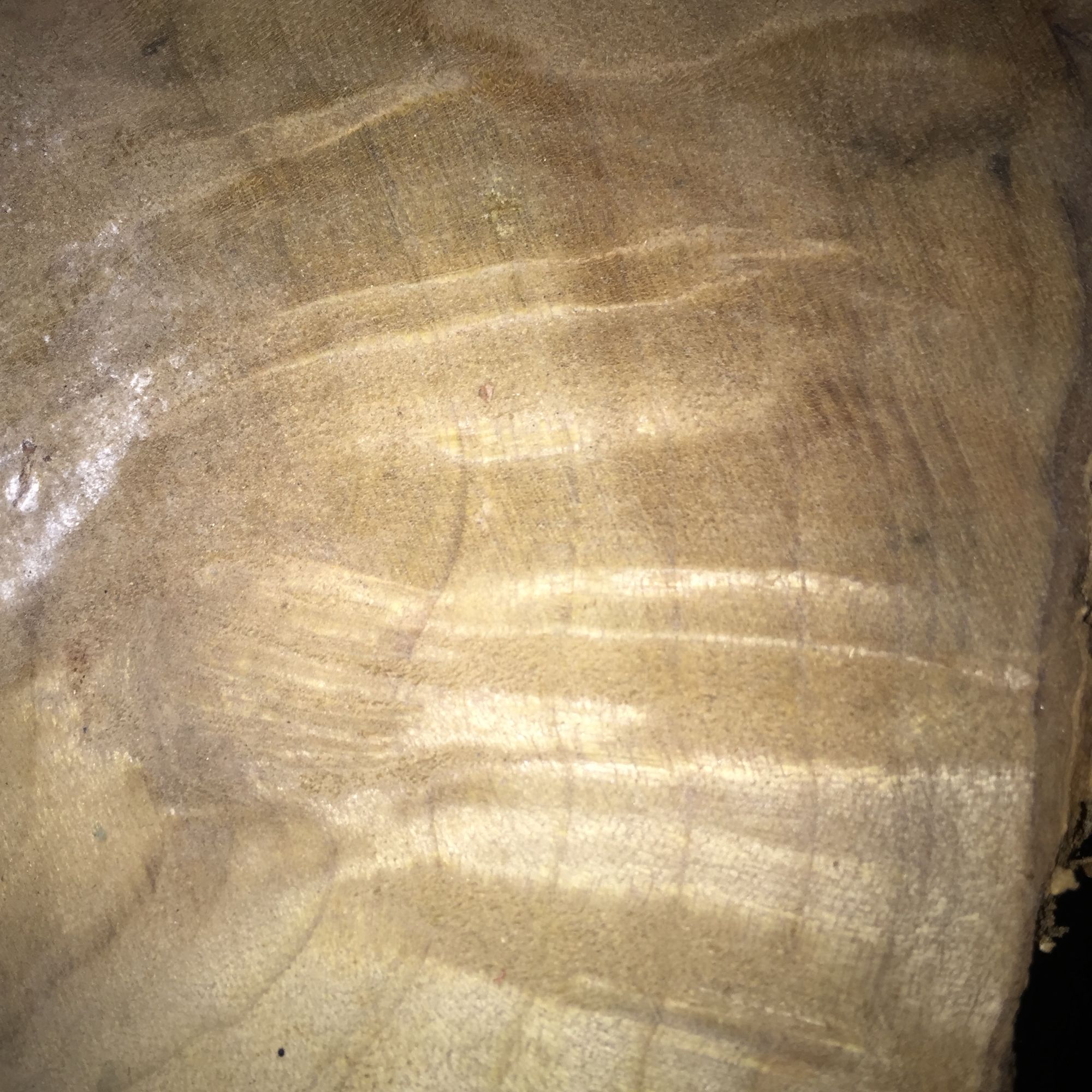 金丝楠木手串什么纹路好,金丝楠木手串有哪些纹路