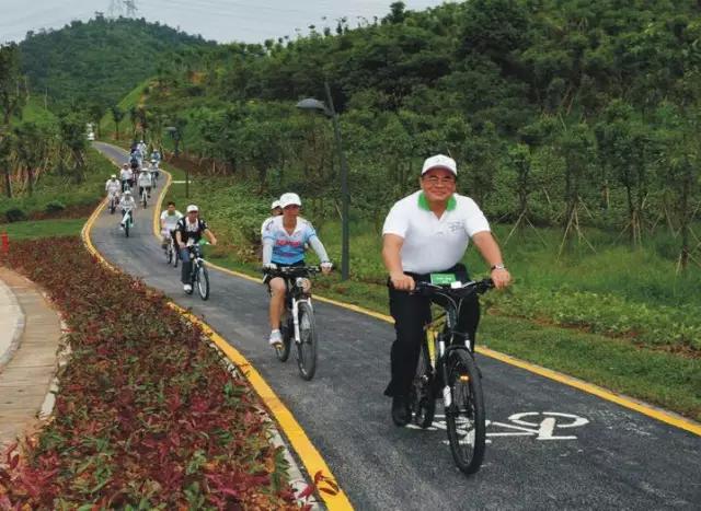 绿道可以走电动自行车吗,绿色公共自行车怎么租