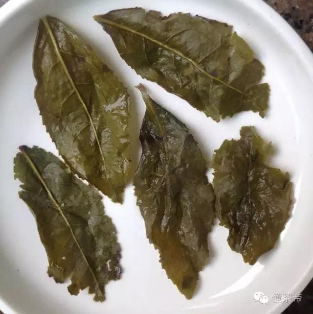 鉴别铁观音茶叶的好与坏视频,铁观音怎么鉴别好坏