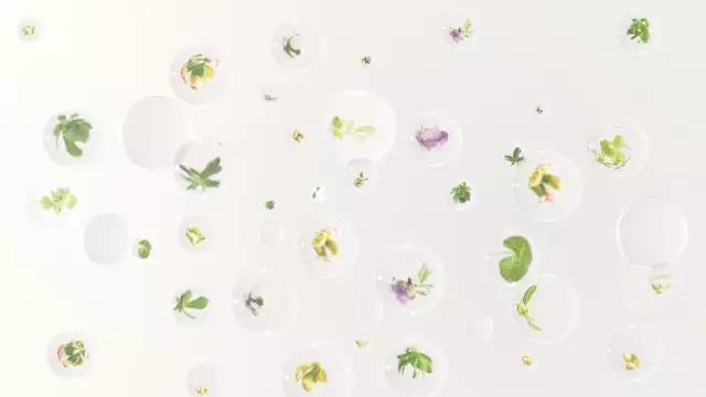 香水×衣妆玩速配，用气息成就气质