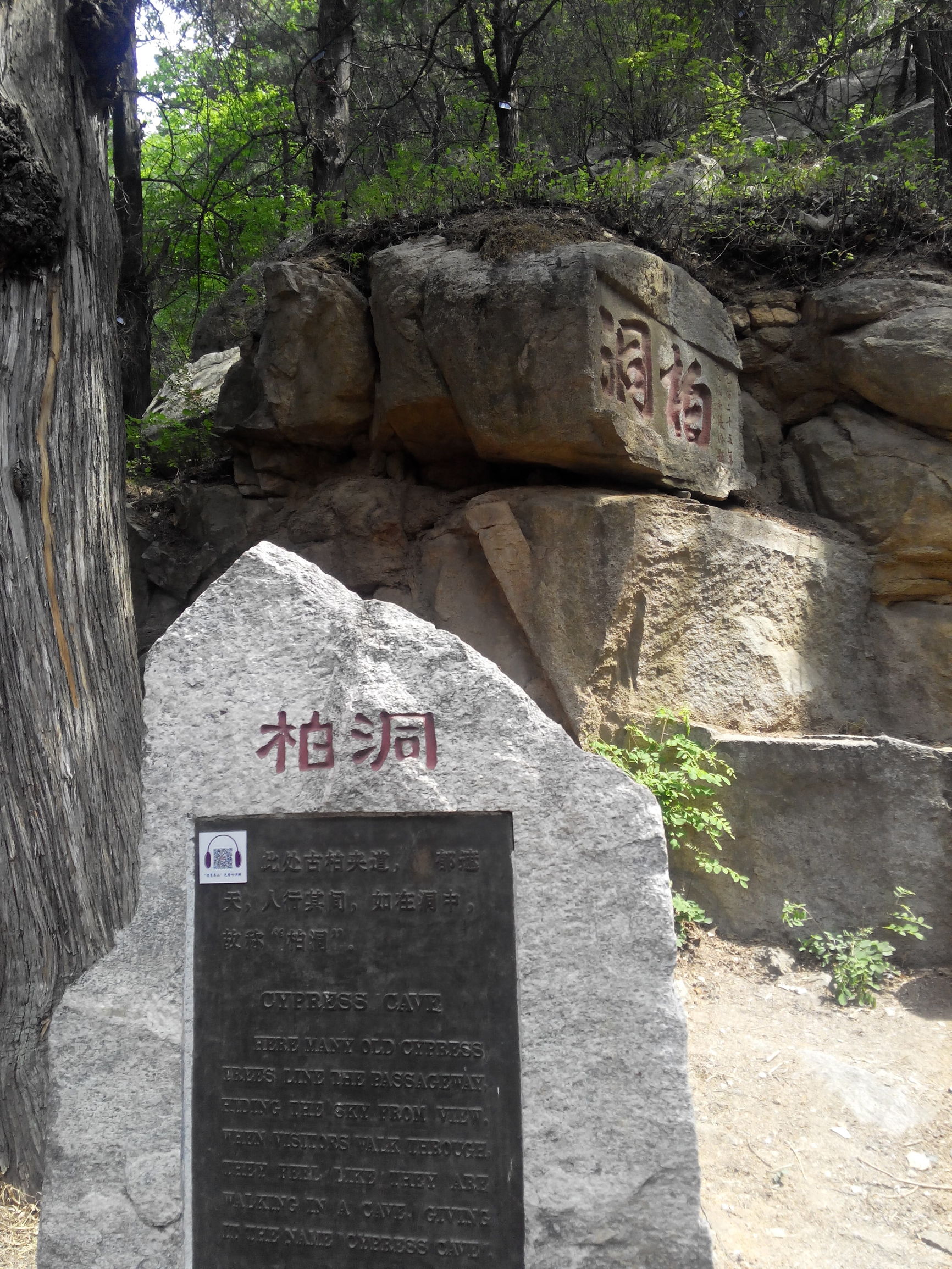 天津去泰山自由行攻略,天津泰山旅游攻略自助游