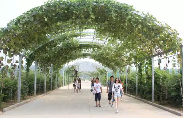 山东德百温泉旅游小镇,山东德州德百温泉度假村