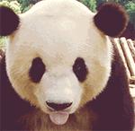 出国旅行怎么办理,武汉出国旅游办签证大概多少钱