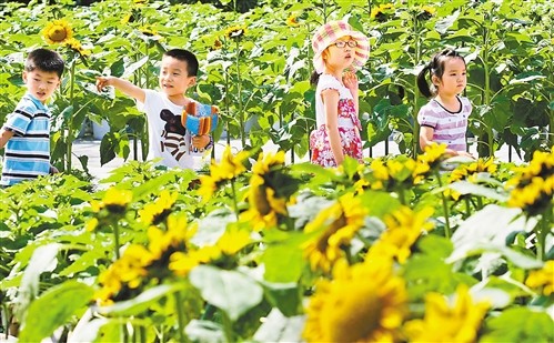 儿童节带娃去哪儿玩主城附近,六一儿童节带孩子来走走吧