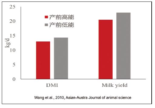王艳明牛奶,王艳明