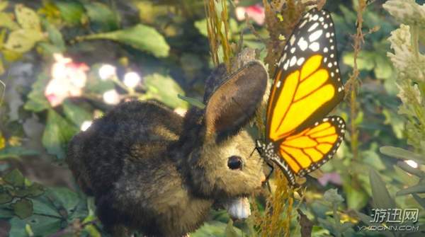 gta中令人惊艳的风景,gta图片高清大图