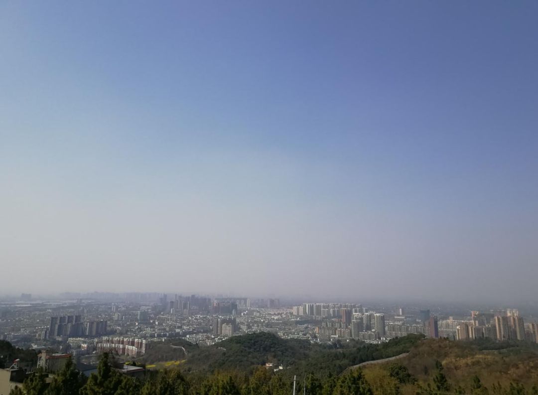 十里春风、百亩桃园,来龙泉驿,你拥有的不止这些!