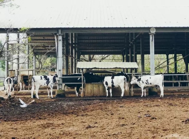 台湾旅游最值得去的景点,台湾旅游必去的机场