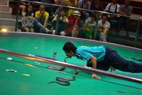 跟团泰国游教你防套路,泰国跟团游必须要买东西吗