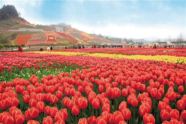 重庆南川山水都市旅游,重庆南川秋季旅游排名