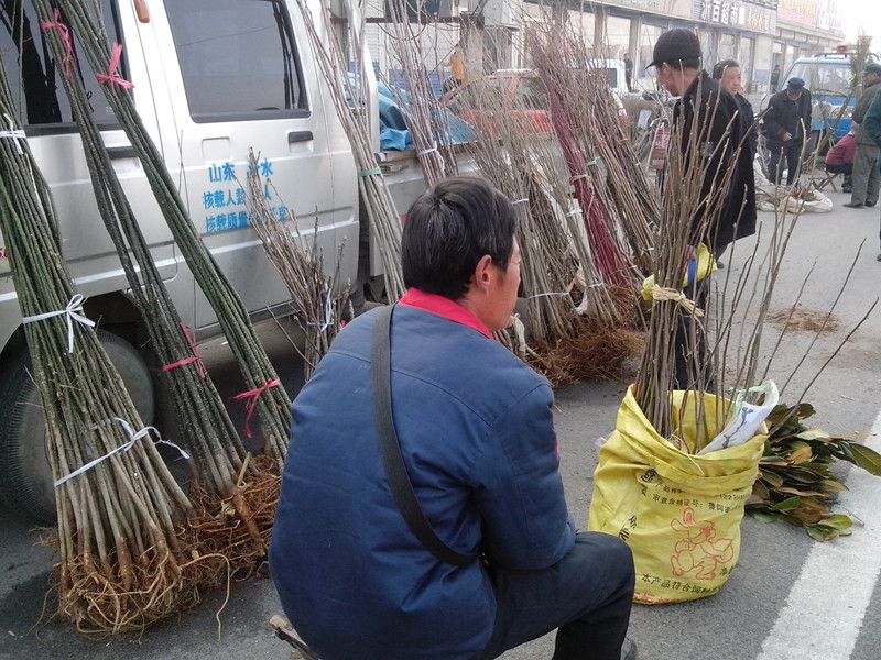 春天农村大集现在都卖什么生意好,今年农村适合做什么小买卖