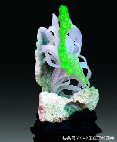 翡翠知识详解,翡翠知识讲解师