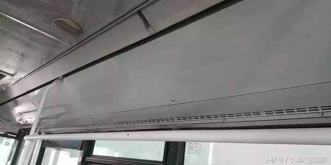 用巴士打造花园式移动天然影院，这波操作你见过么？