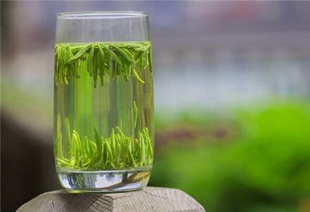 把峨眉山的春天，装进一杯竹叶青里