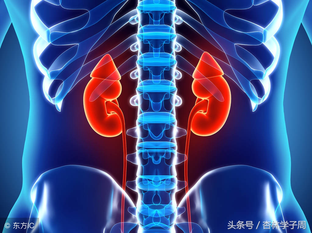 尿毒症引起的腿疼吃什么药,尿毒症腿痛