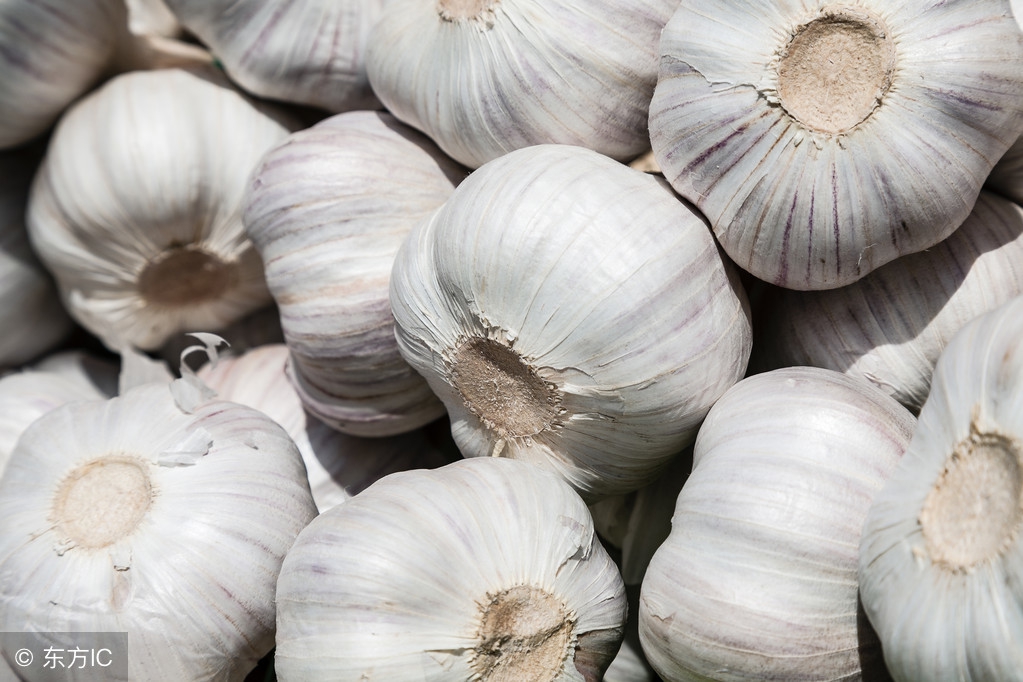 2018年4月11日大蒜主产区价格行情，整体平稳