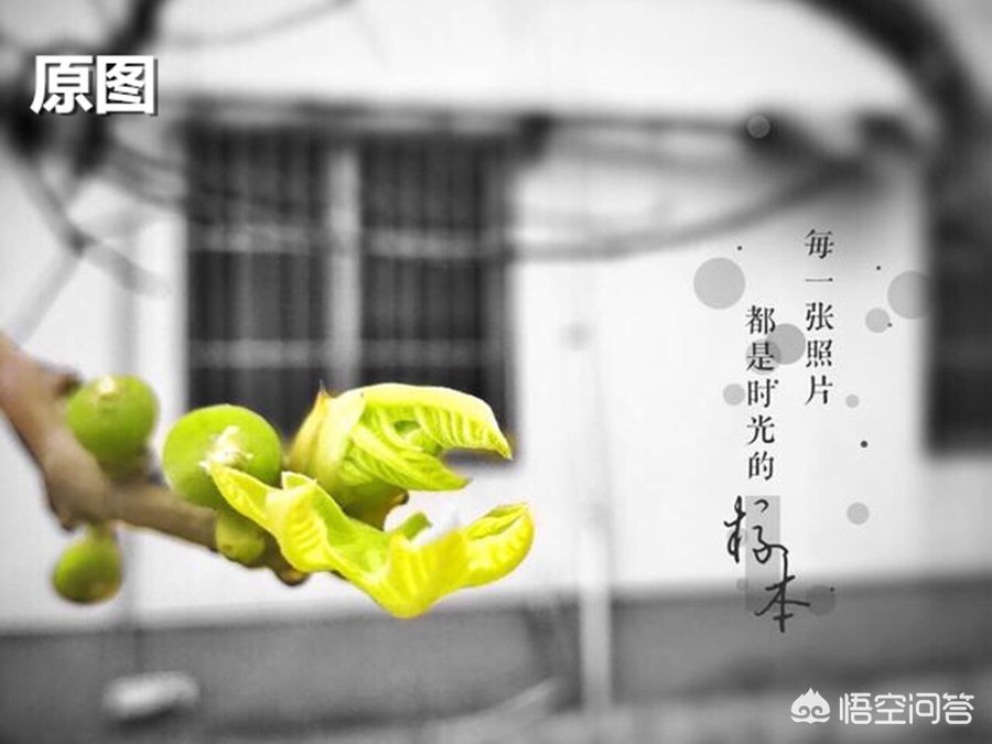 手机照片歪斜怎么调整,照片里的建筑物歪了怎么修正