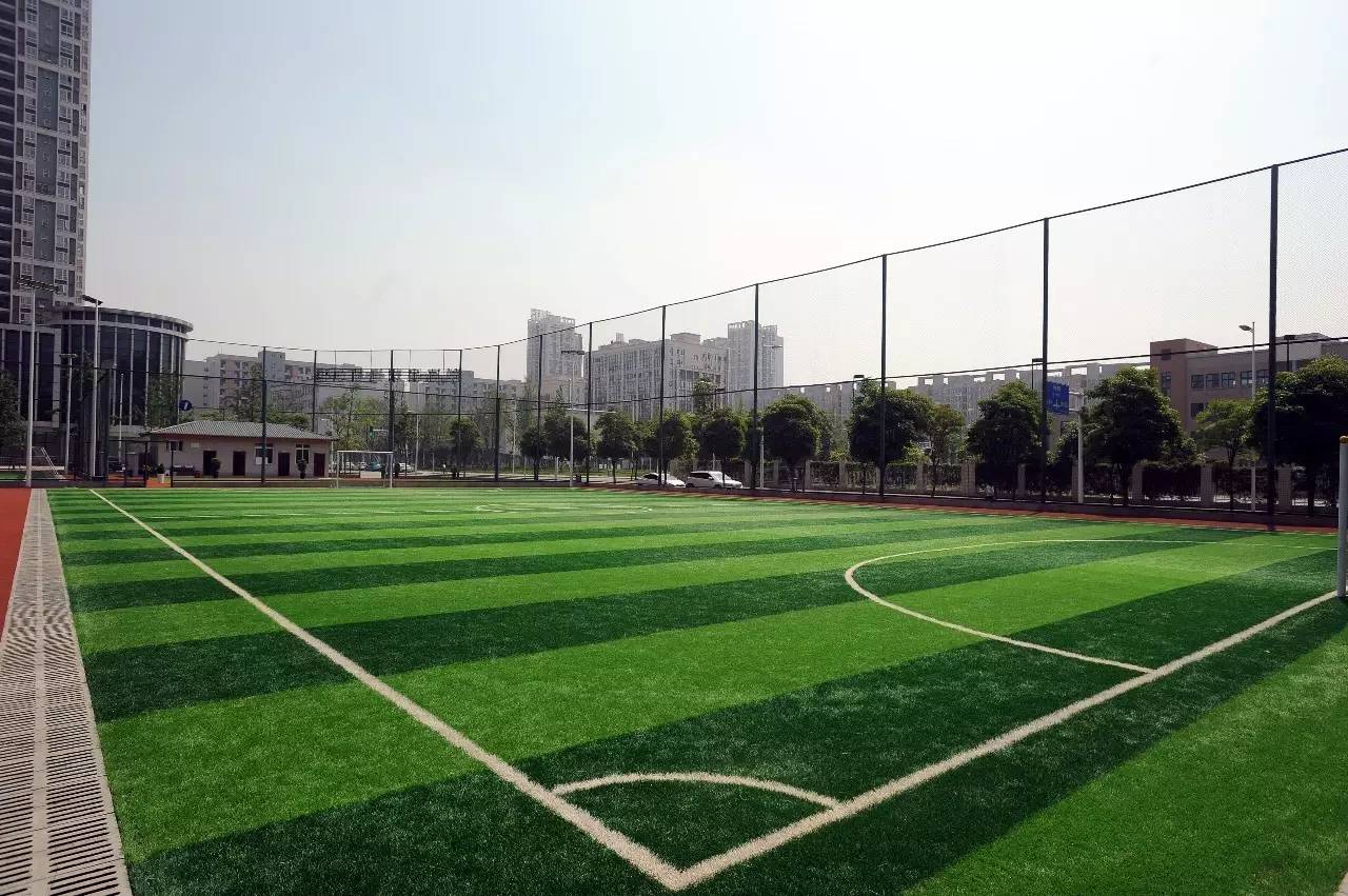 菁蓉小镇杯|成都创客足球锦标赛奖牌，脚踏三色“彩虹”而来