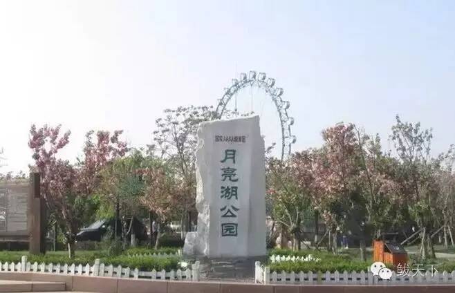 鲅鱼圈旅游景点都有什么,鲅鱼圈旅游景点攻略大全