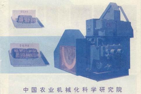 儿时的六一儿童节图片,六一儿童节童年照片