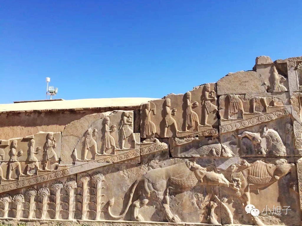 10个月走遍13个国家90后女生只身闯中东|美人记